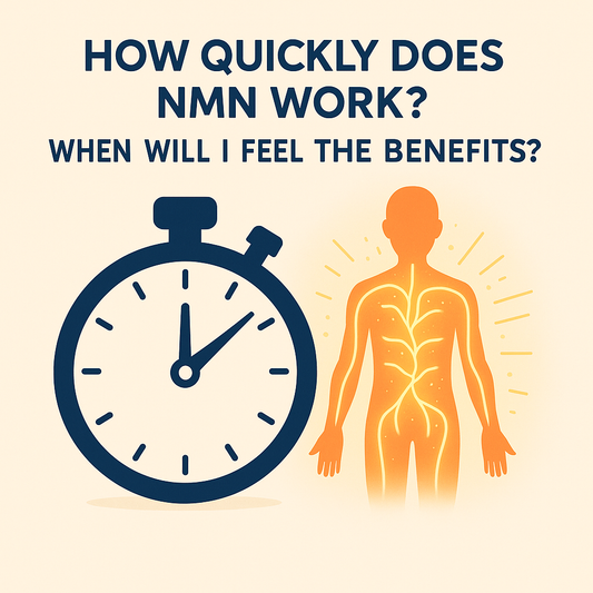 How Quickly Does NMN Work