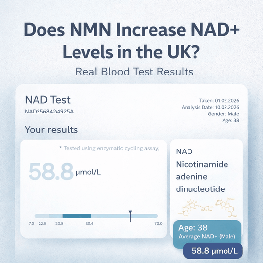 Does NMN Increase NAD+ Levels in the UK? Real Blood Test Results (2026)