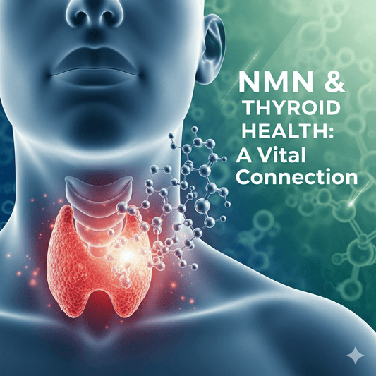 NMN and Thyroid Health