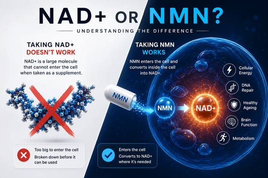 Should You Take NAD+ or NMN? Understanding the Difference