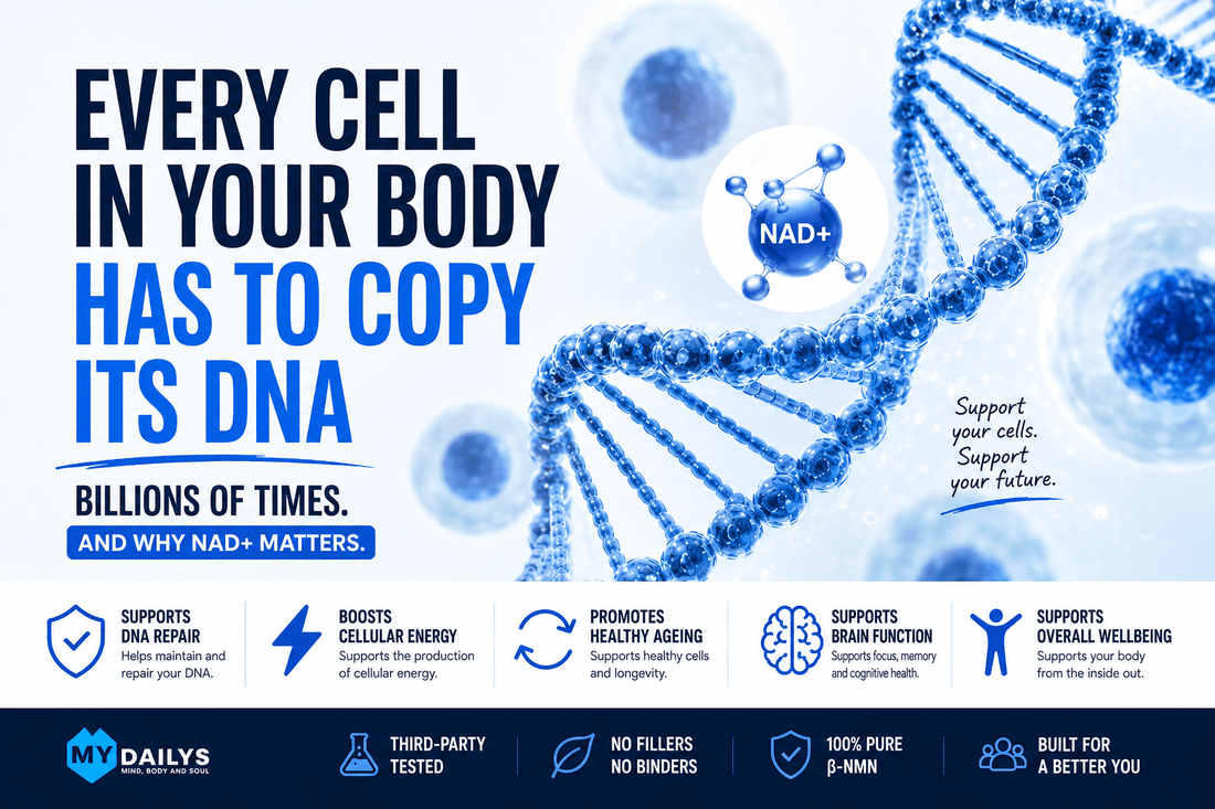 Infographic explaining how every cell copies its DNA billions of times, the importance of DNA repair, NAD+, healthy ageing and how NMN supports healthy NAD+ levels.