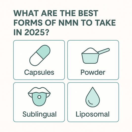 What Are the Best Forms of NMN to Take in 2025?