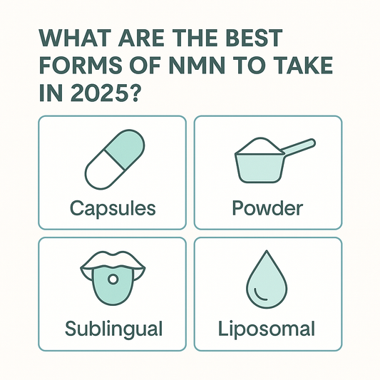 What Are the Best Forms of NMN to Take in 2025?