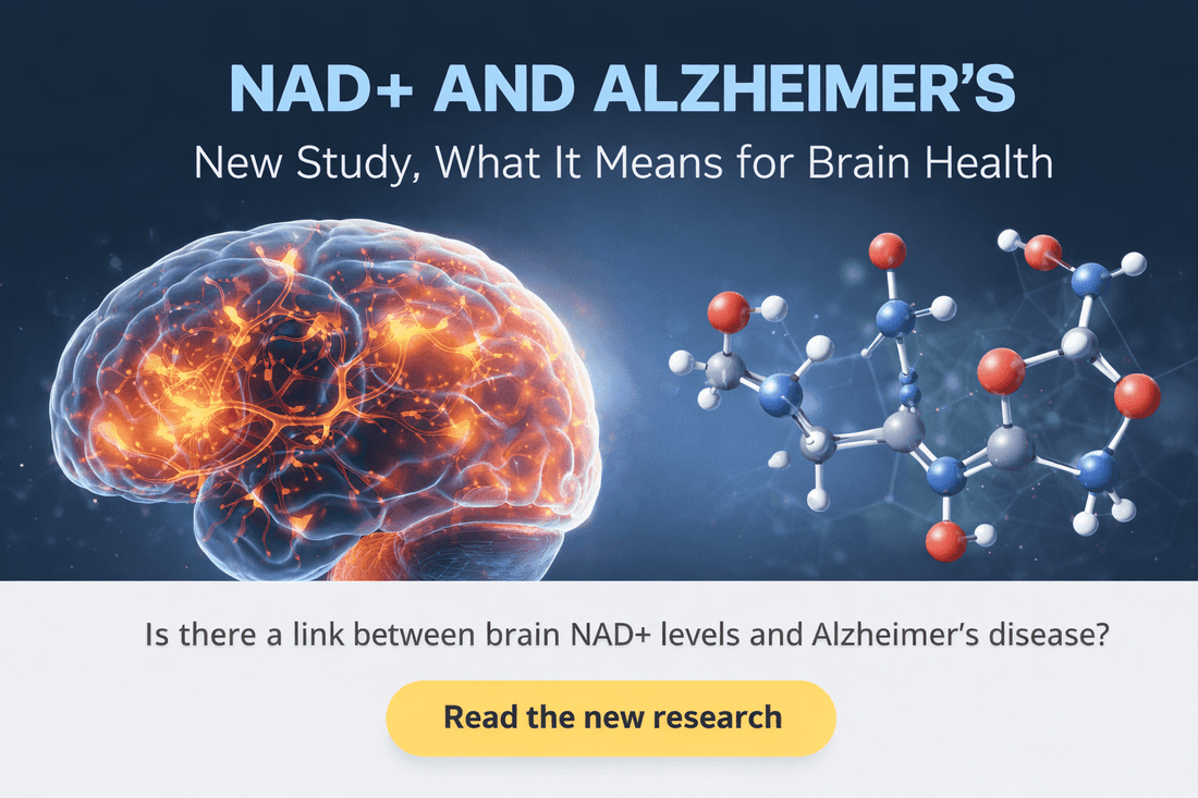 NAD+ and Alzheimer’s: New Study, What It Means for Brain Health