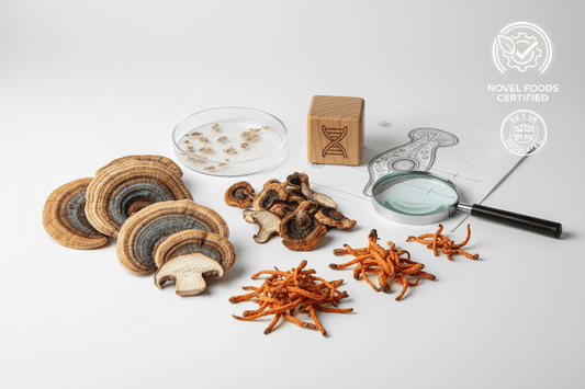 Turkey Tail & Cordyceps Classified as Novel Foods: What It Means for the UK Mushroom Industry