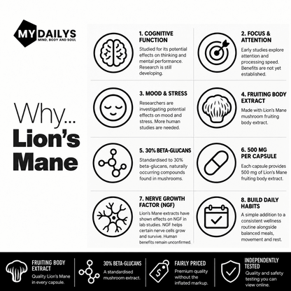 My Dailys Lion’s Mane supplement stack benefits for focus and daily wellness