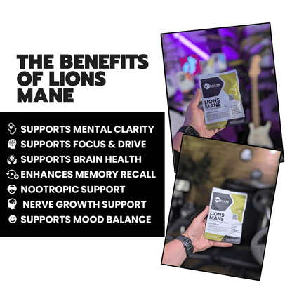 Lions Mane Supplement | Vegan Capsules | My Dailys Health Wellness