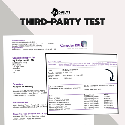 Lions Mane Supplement | Vegan Capsules | My Dailys Health Wellness