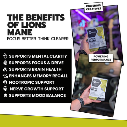 Lions Mane | Vegan Capsules | My Dailys Health Wellness