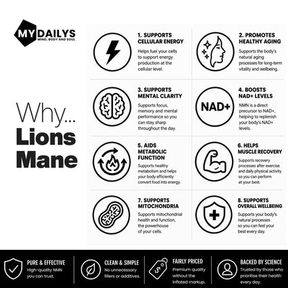 Lions Mane Supplement | Vegan Capsules | My Dailys Health Wellness