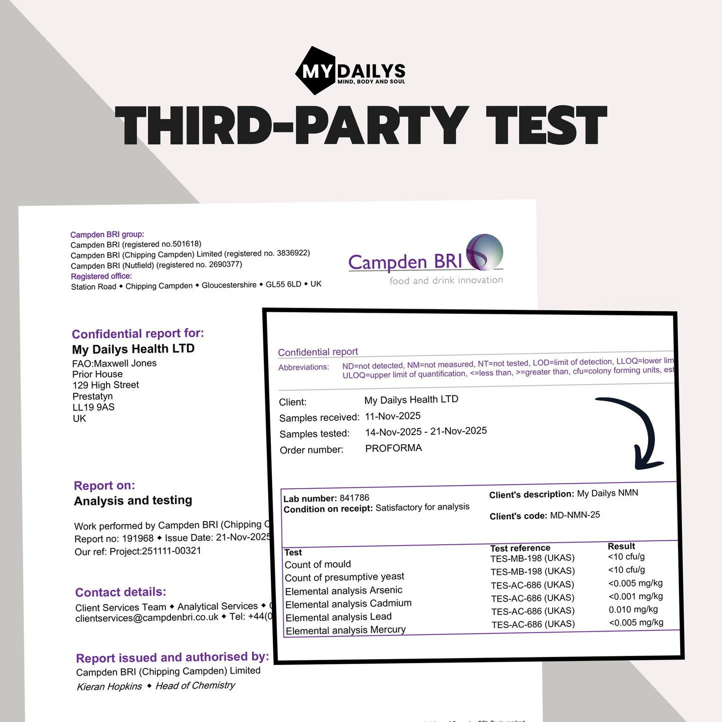 My Dailys Energy & Focus Bundle | NMN & Lion’s Mane Supplements Anti Aging Longevity and Focus