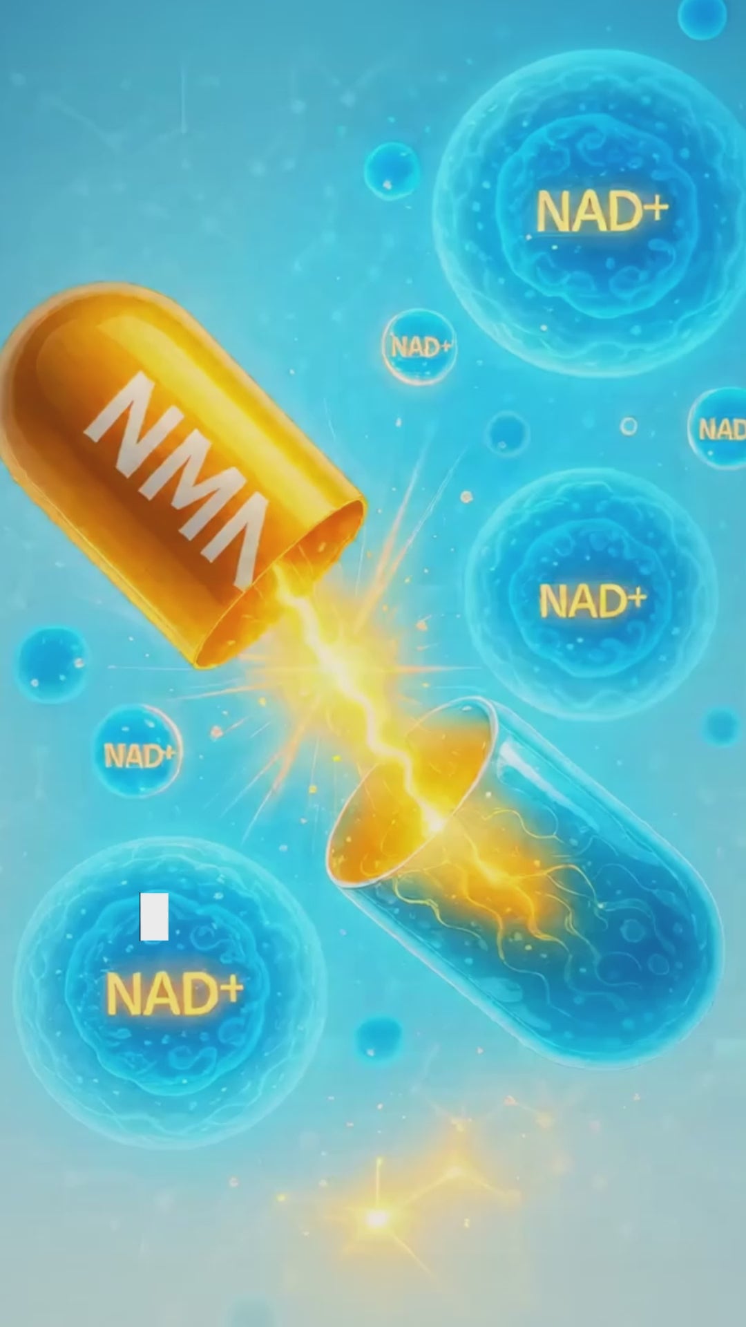 Load video: What Does NMN Actually Do?